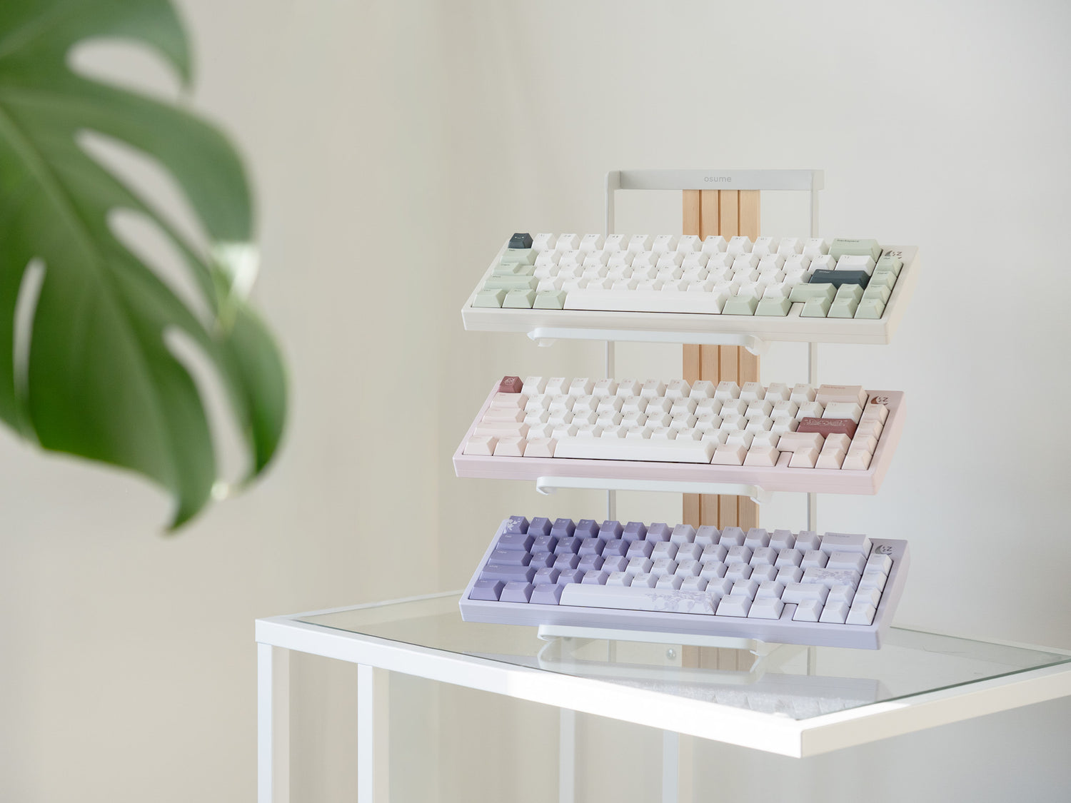 Three pastel osume keyboards displayed on a stand beside a green plant